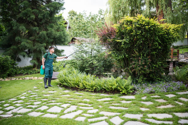 Professional Pest Control in Rockville, MN