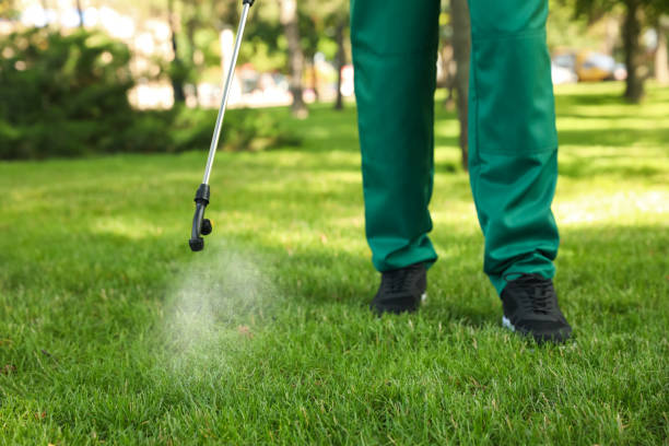 Best Rat Extermination Near Me  in Rockville, MN