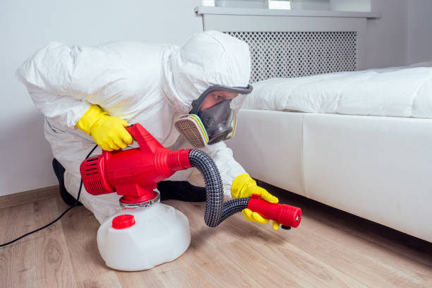 Best Affordable Pest Control Services  in Rockville, MN