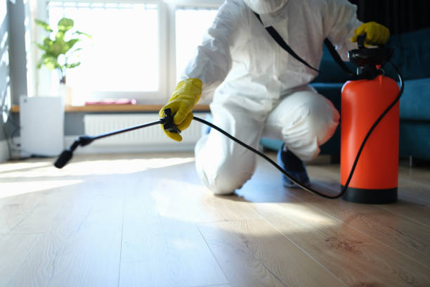 Best Residential Pest Control  in Rockville, MN