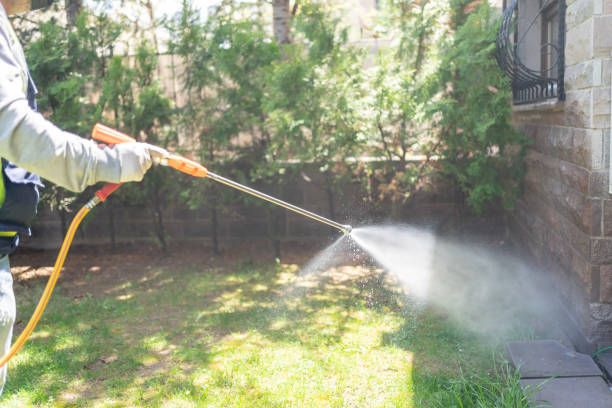 Best Termite Control Services  in Rockville, MN