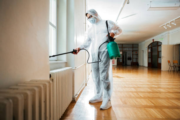 Best Cockroach Control Services  in Rockville, MN
